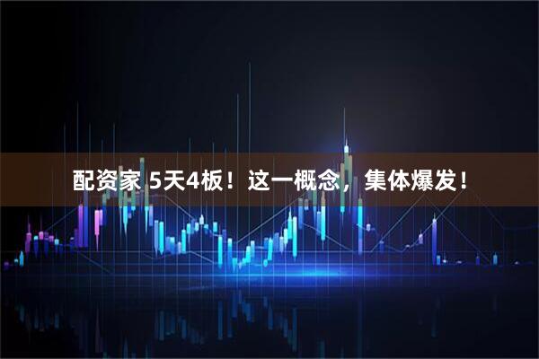 配资家 5天4板！这一概念，集体爆发！